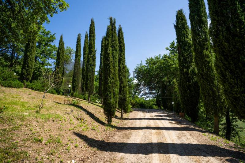 casale in vendita a Sinalunga