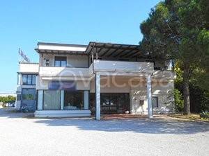 negozio in vendita a Sinalunga