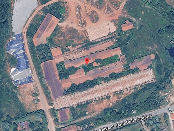 terreno agricolo in vendita a Sinalunga