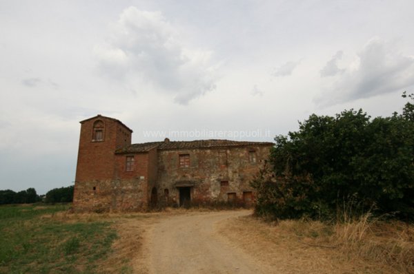 casa indipendente in vendita a Sinalunga in zona Scrofiano
