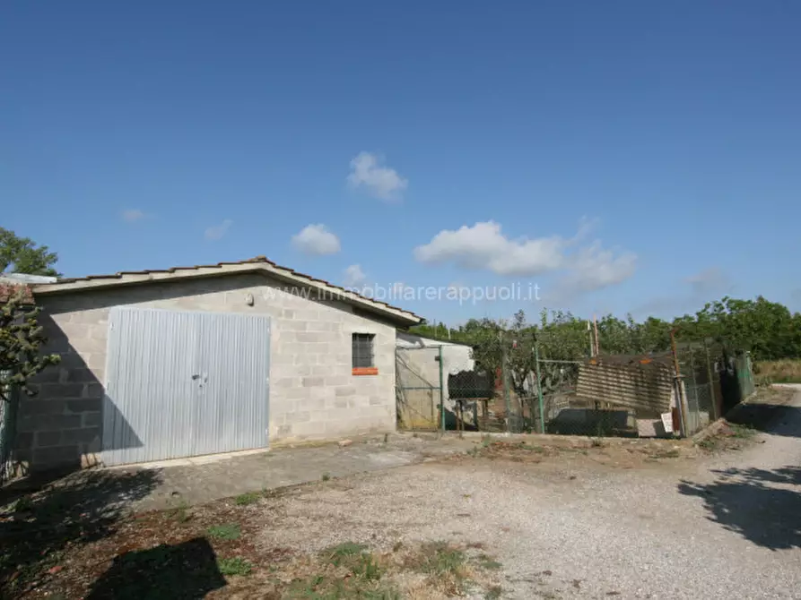 casa indipendente in vendita a Sinalunga in zona Scrofiano