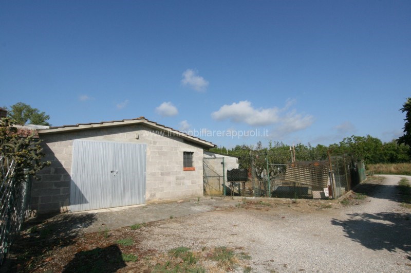 casa indipendente in vendita a Sinalunga in zona Scrofiano