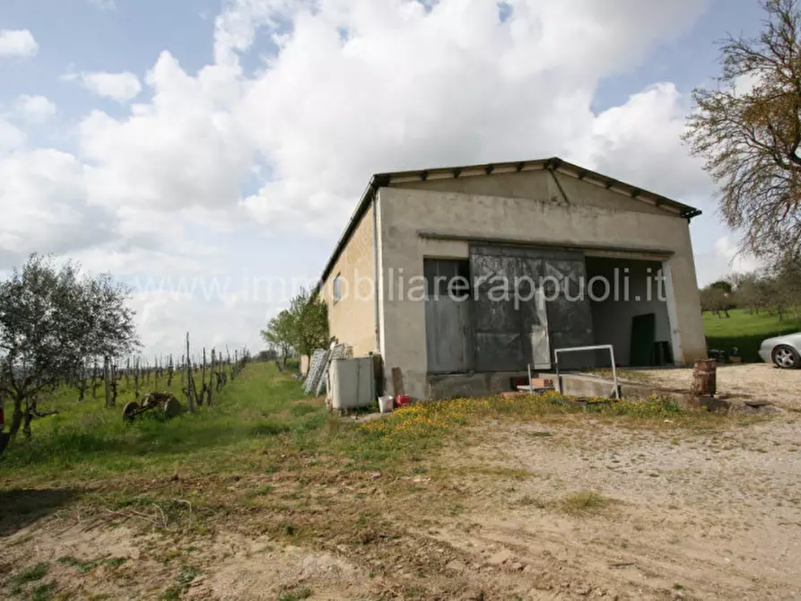 casa indipendente in vendita a Sinalunga