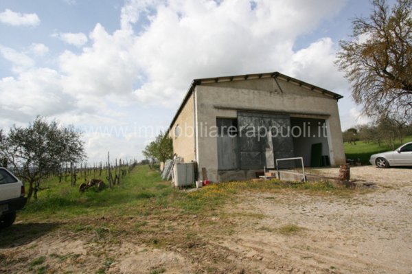 casale in vendita a Sinalunga