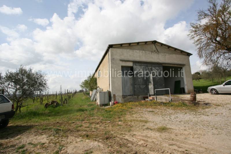 casale in vendita a Sinalunga