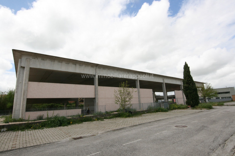 capannone in vendita a Sinalunga