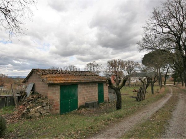 casa indipendente in vendita a Sinalunga