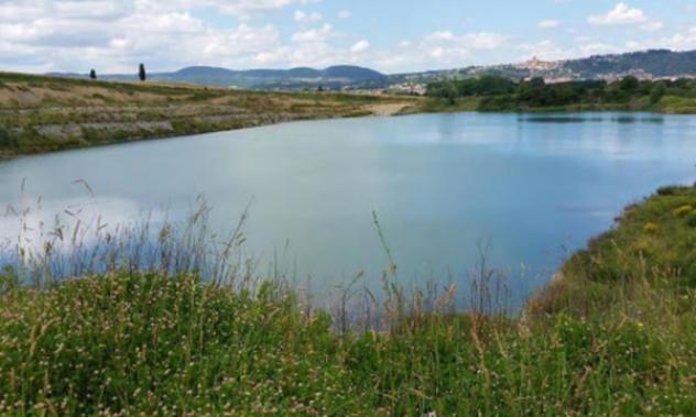 terreno agricolo in vendita a Sinalunga