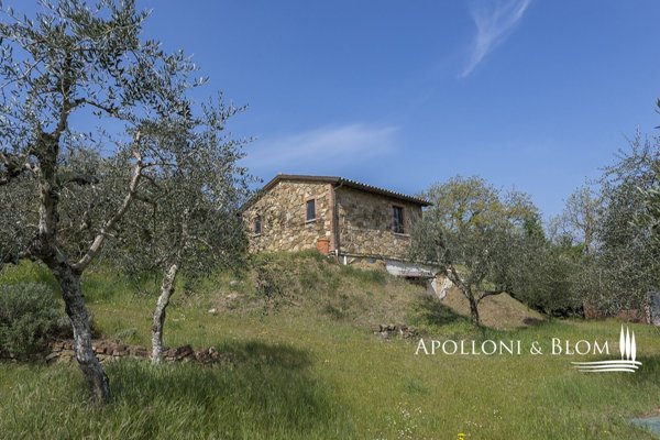 appartamento in vendita a Sinalunga