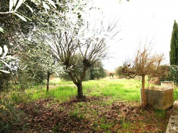 casa indipendente in vendita a Sinalunga in zona Guazzino
