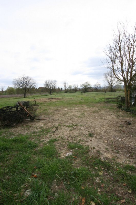 casa indipendente in vendita a Sinalunga in zona Guazzino