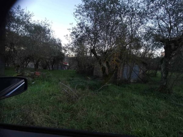 terreno agricolo in vendita a Sinalunga in zona Scrofiano