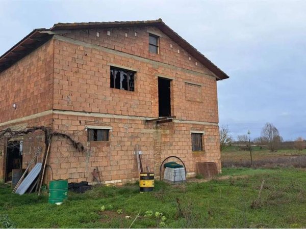 terreno agricolo in vendita a Sinalunga