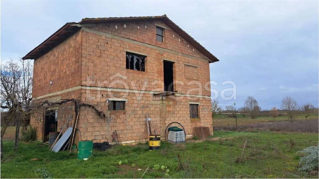 terreno agricolo in vendita a Sinalunga