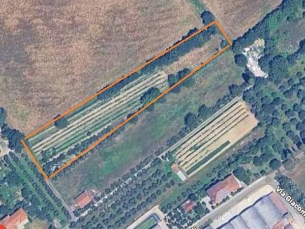 terreno agricolo in vendita a Sinalunga in zona Bettolle