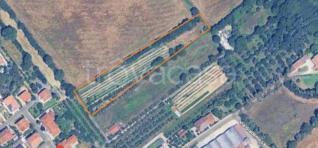 terreno agricolo in vendita a Sinalunga in zona Bettolle