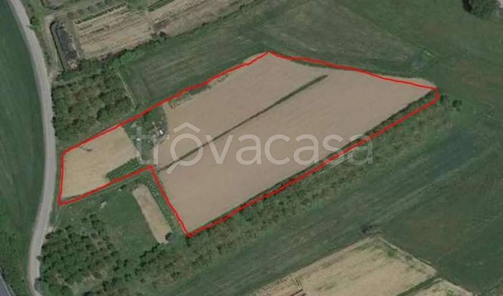 terreno agricolo in vendita a Sinalunga