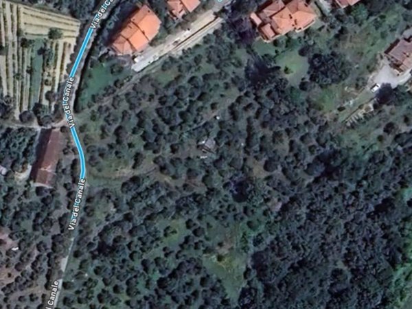 terreno agricolo in vendita a Sinalunga