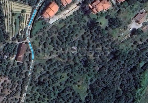 terreno agricolo in vendita a Sinalunga