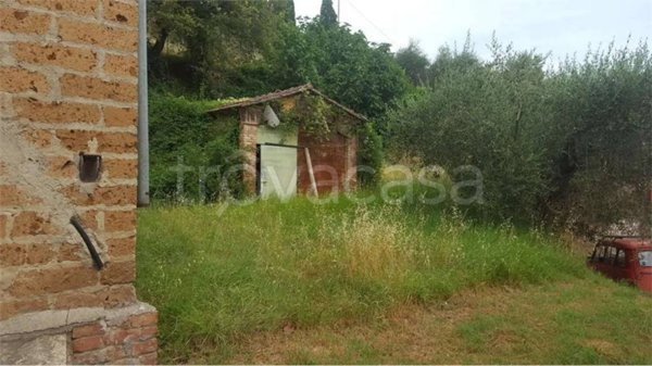 terreno agricolo in vendita a Sinalunga in zona Scrofiano