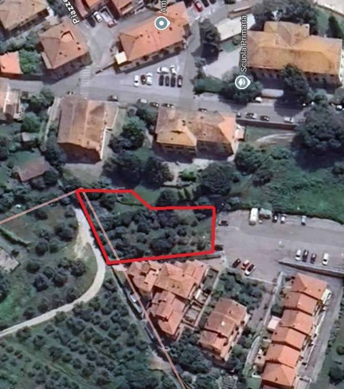 terreno agricolo in vendita a Sinalunga