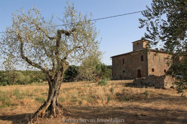 casa indipendente in vendita a Sinalunga in zona Farnetella