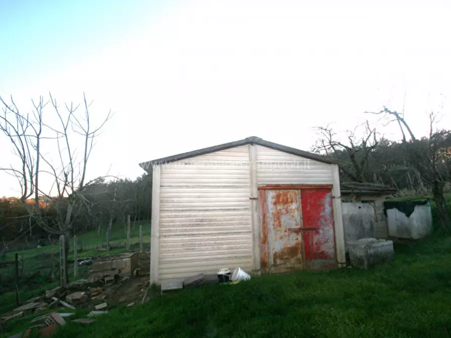 casale in vendita a Sinalunga