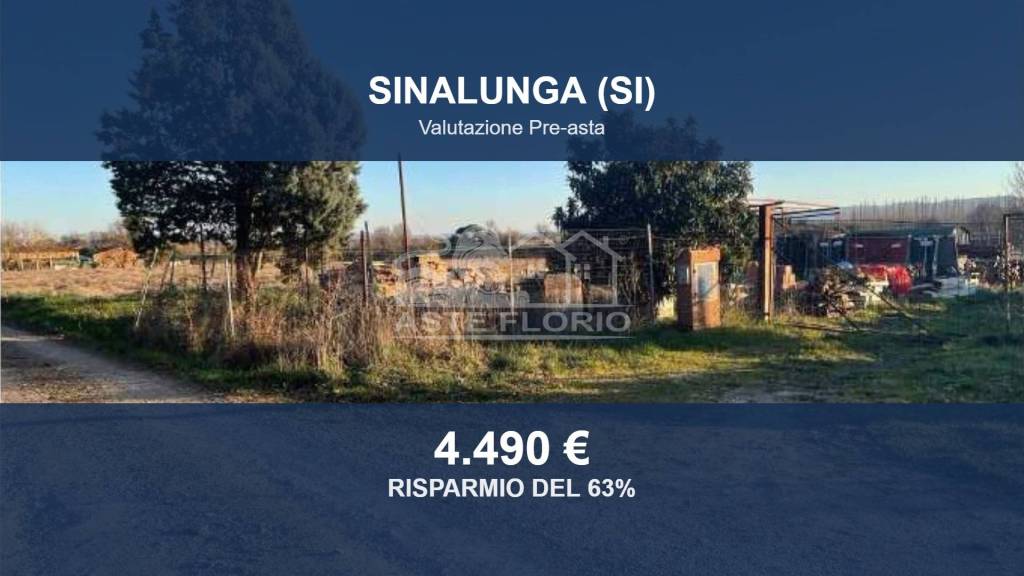 terreno agricolo in vendita a Sinalunga in zona Rigaiolo
