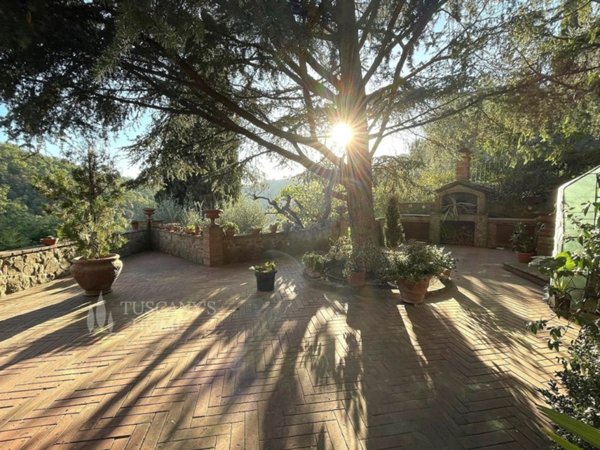 casa indipendente in vendita a Sinalunga in zona Scrofiano