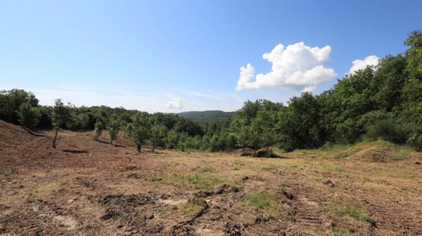 terreno agricolo in vendita a Sinalunga in zona Rigaiolo