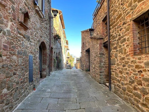 casa indipendente in vendita a Sinalunga in zona Rigomagno