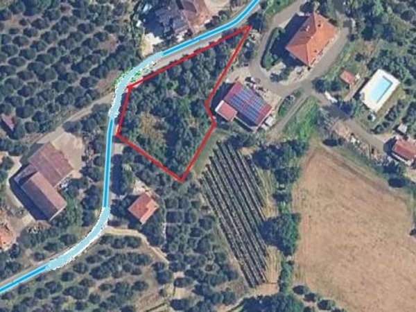 terreno agricolo in vendita a Sinalunga in zona Scrofiano