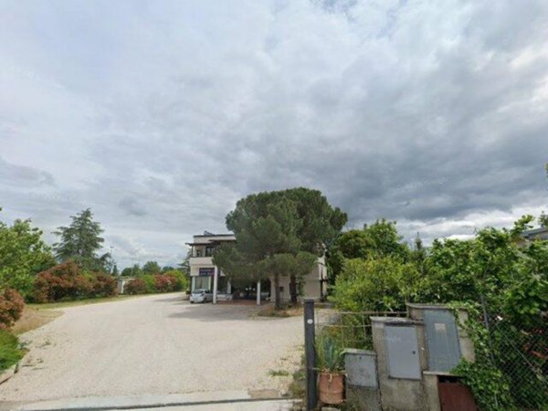negozio in vendita a Sinalunga