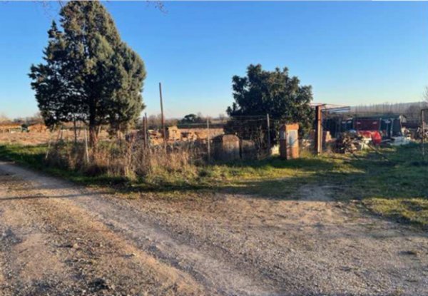 terreno agricolo in vendita a Sinalunga