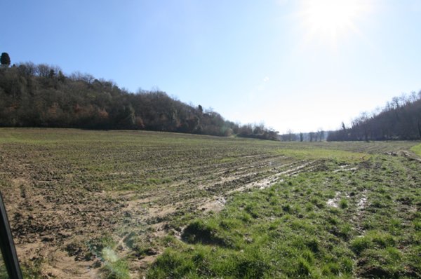 terreno agricolo in vendita a Sinalunga in zona Rigaiolo