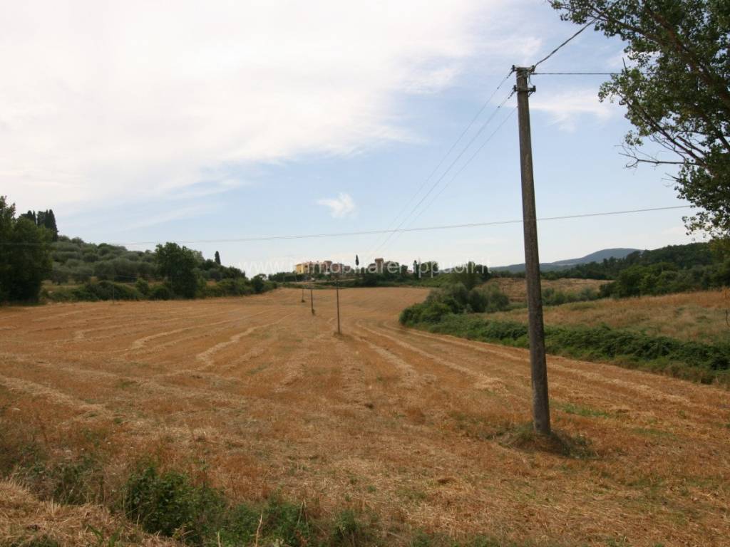 terreno in vendita a Sinalunga