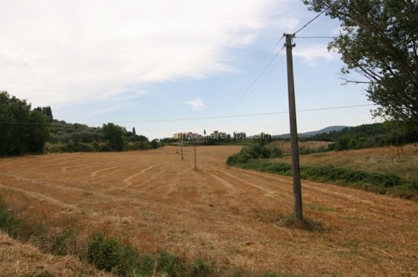 terreno in vendita a Sinalunga