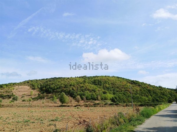 terreno in vendita a Sinalunga