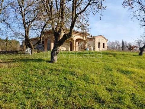 casa indipendente in vendita a Sinalunga