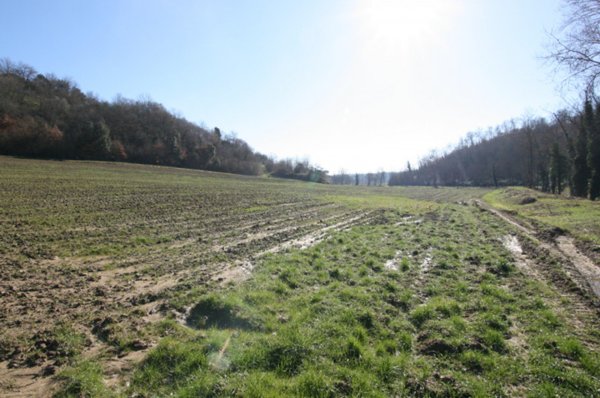 terreno in vendita a Sinalunga in zona Rigaiolo