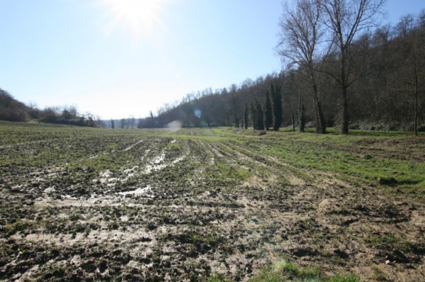 terreno in vendita a Sinalunga in zona Rigaiolo