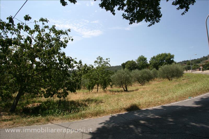 terreno in vendita a Sinalunga in zona Scrofiano