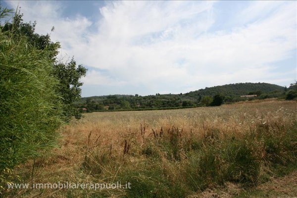terreno in vendita a Sinalunga in zona Scrofiano
