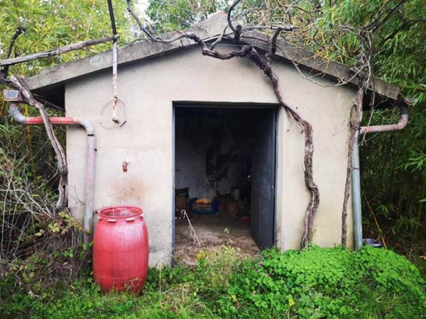terreno in vendita a Sinalunga