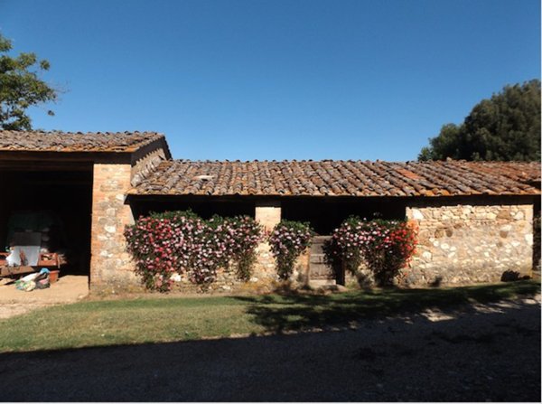 casa indipendente in vendita a Sovicille