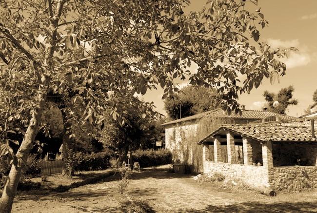 negozio in vendita a Sovicille