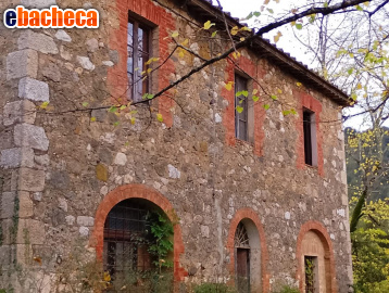 appartamento in vendita a Sovicille