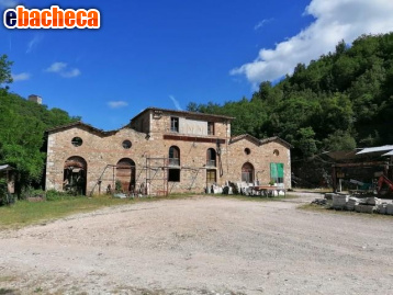 locale commerciale in vendita a Sovicille
