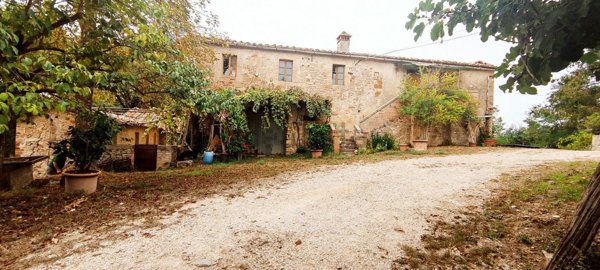 azienda agricola in vendita a Sovicille