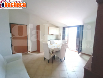 appartamento in vendita a Sovicille